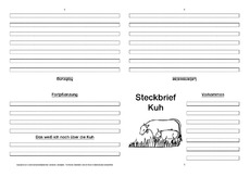 Kuh-Faltbuch-vierseitig-4.pdf
